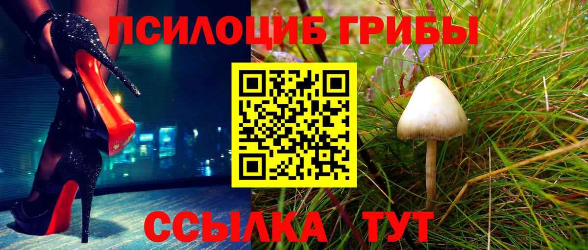 Югорск  Псилоцибиновые грибы мицелий  Вход с VPN 