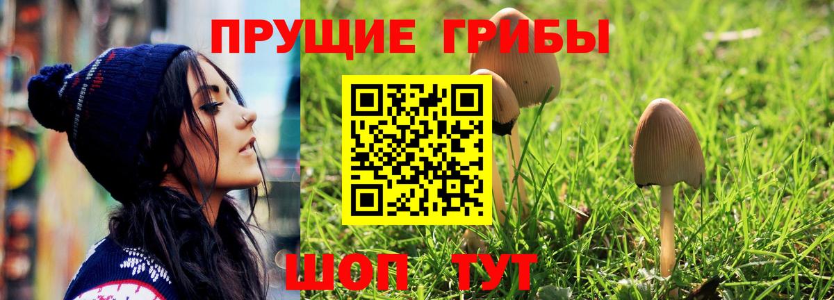 Псилоцибиновые грибы мицелий Югорск